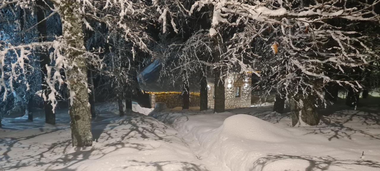 Green Forest Žabljak Εξωτερικό φωτογραφία