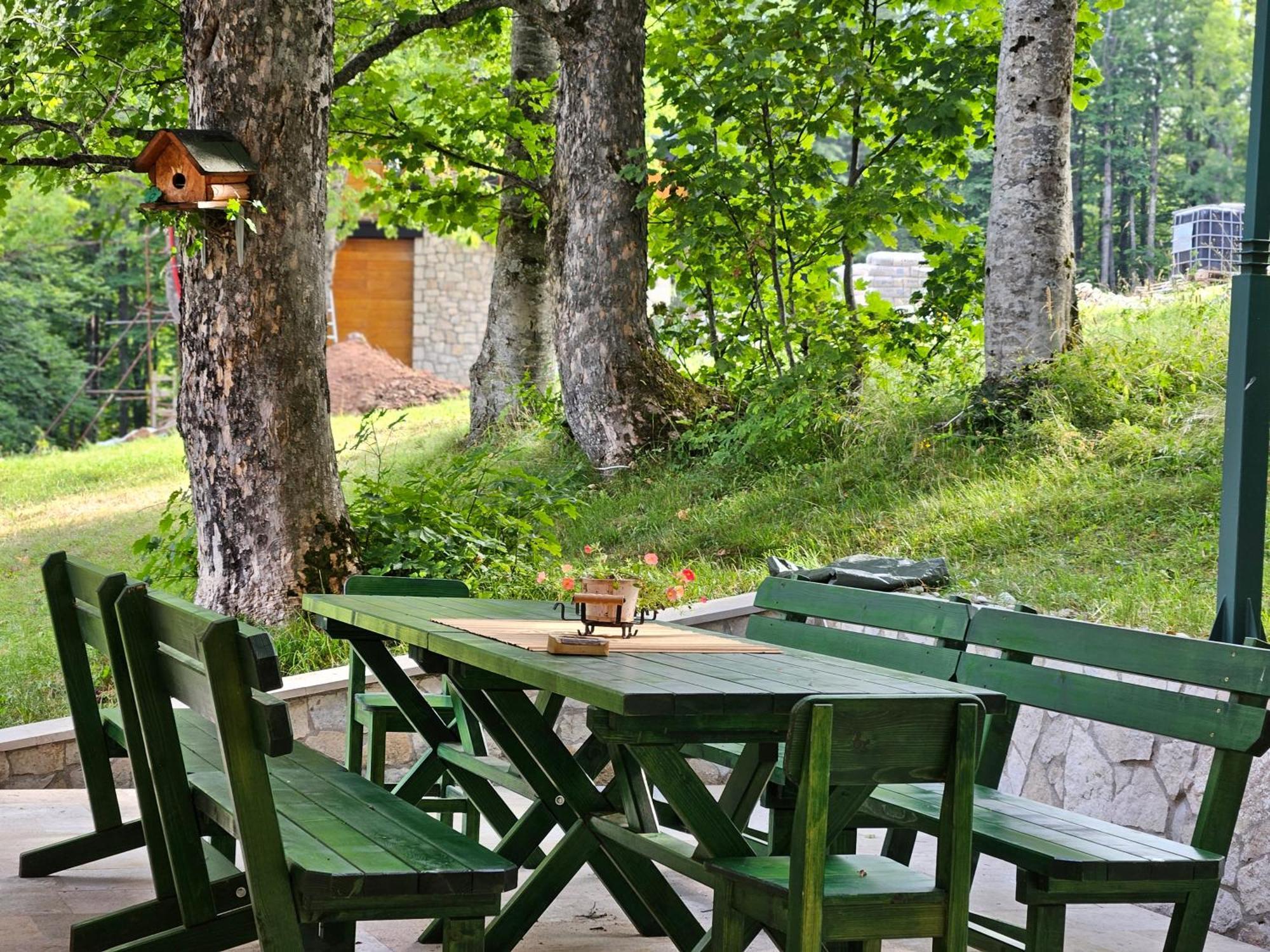Green Forest Žabljak Εξωτερικό φωτογραφία