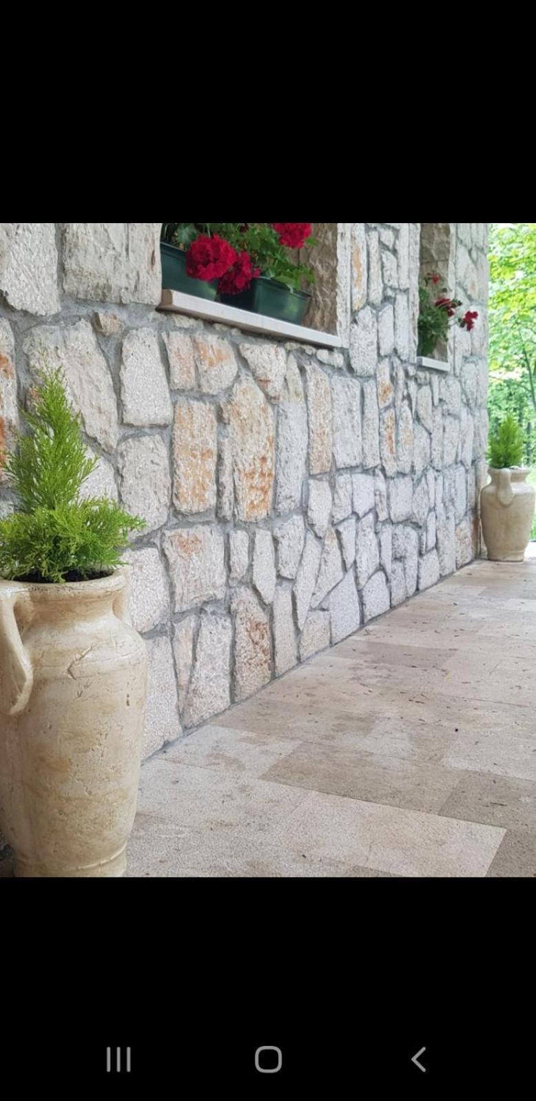 Green Forest Žabljak Εξωτερικό φωτογραφία