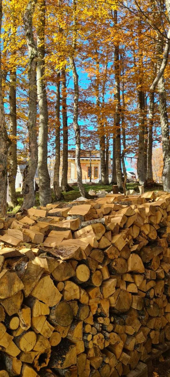 Green Forest Žabljak Εξωτερικό φωτογραφία
