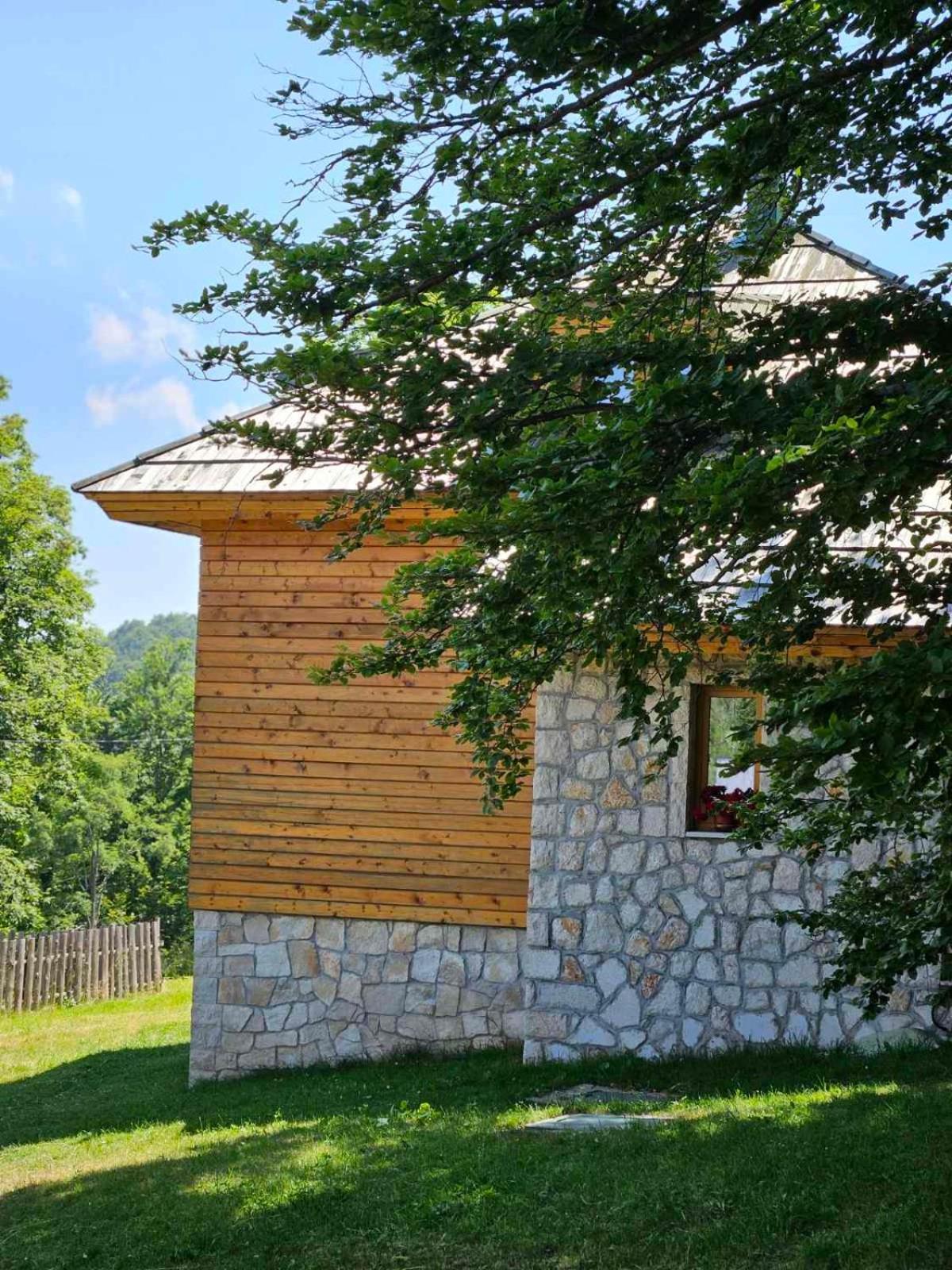 Green Forest Žabljak Εξωτερικό φωτογραφία