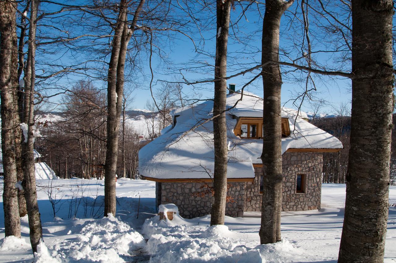 Green Forest Žabljak Εξωτερικό φωτογραφία