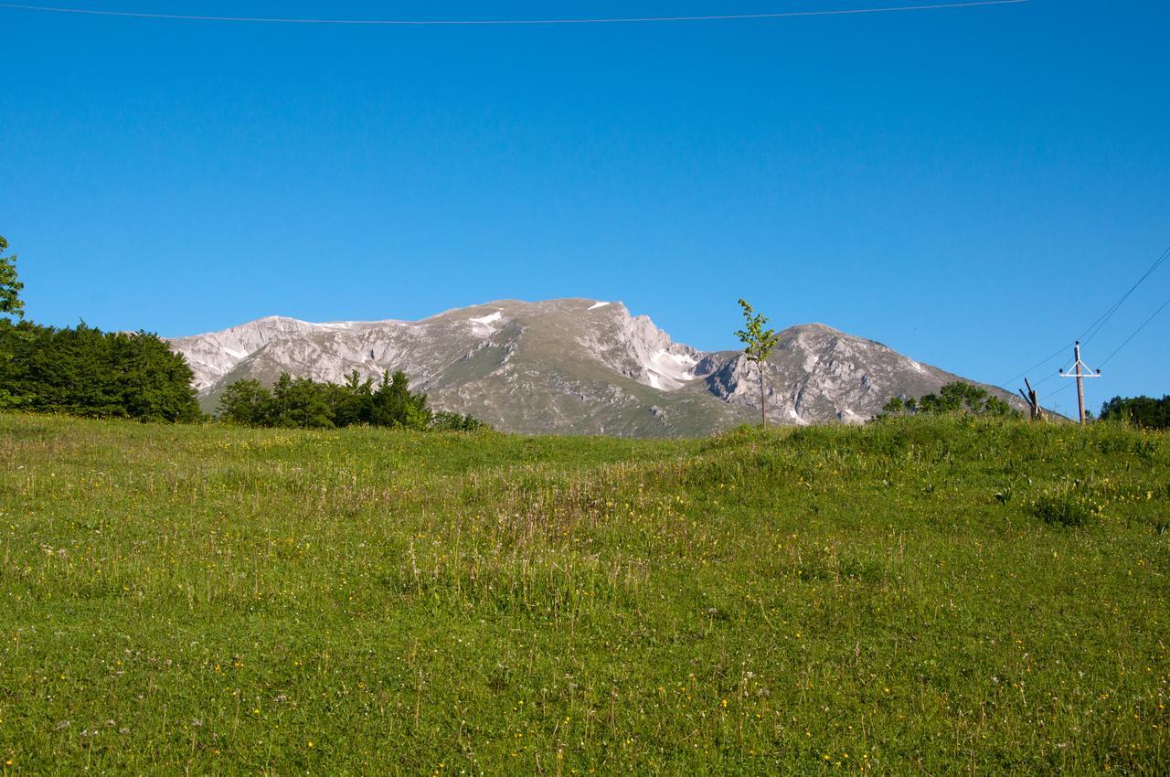 Green Forest Žabljak Εξωτερικό φωτογραφία