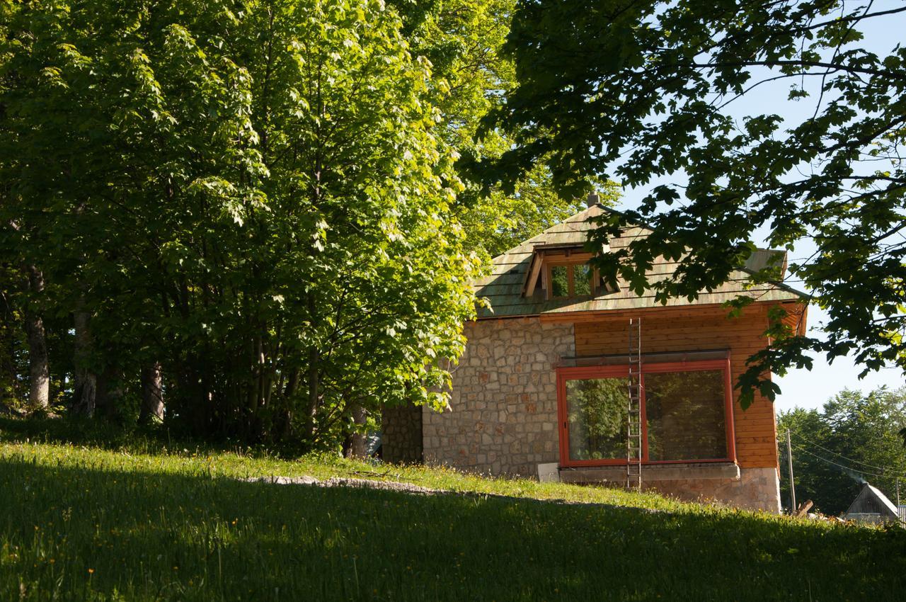 Green Forest Žabljak Εξωτερικό φωτογραφία